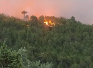 Kütahya Emet’teki orman yangını büyüyerek devam ediyor