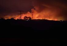 📽️Yunanistan’daki orman yangınında hayatlarını kaybetmişlerdi. İşte ölen 20 göçmenlerin son görüntüleri