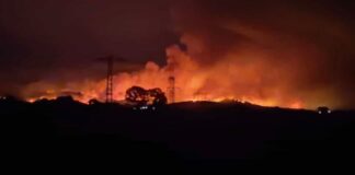 Yunanistan’daki yangın Edirne’nin sınır köylerine dayandı;orman yangınında yoğun duman hakim oluyor