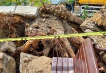 İstanbul Bebek’te asırlık ağaç yola devrildi: 2 kişi yaralandı