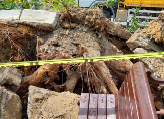 İstanbul Bebek’te asırlık ağaç yola devrildi: 2 kişi yaralandı