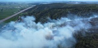 Sakarya’da ormanlık alanda yangın çıktı, çok sayıda ekip sevk edildi