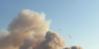 Söke’de orman yangını; Yangın rüzgarın etkisi ile büyüyor