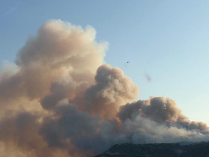 SÖKE'DEKİ YANGIN RÜZGARIN ETKİSİ İLE BÜYÜDÜ 10 HELİKOPTER, 6 UÇAK MÜDAHALE EDİYOR