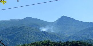 Uludağ’ın eteklerinde korkutan orman yangını