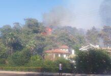 Marmaris’te orman yangını; Alevler binalara sıçradı, 23 hane boşaltıldı, arabalar yandı!