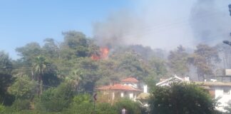 Marmaris’te orman yangını; Alevler binalara sıçradı, 23 hane boşaltıldı, arabalar yandı!