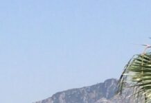 Hatay’da orman yangını
