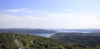 İstanbul’da ormanlık alanlara girişler 31 Temmuz’a kadar yasaklandı