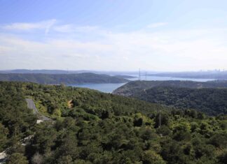 İstanbul’da ormanlık alanlara girişler 31 Temmuz’a kadar yasaklandı