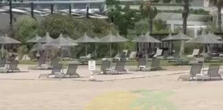 ‘Gagacı’ Karga! Tek gagayla çantadan 100 Euro aşırdı!