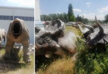 801 milyon dolar harcama ile hurdalık ve çöplük! Ankapark basına açıldı…