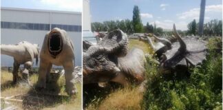 801 milyon dolar harcama ile hurdalık ve çöplük! Ankapark basına açıldı…