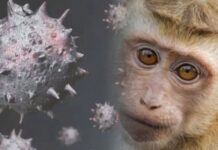 Maymun çiçeği virüsü 92 ülkede görüldü: Dünya genelindeki vaka sayısı 35 bini aştı