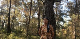 İdare Mahkemesi -Dur, dedi: Akbelen ormanlarında ağaç kesim talebi reddedildi!