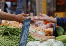 “Patatesin kilogramı ortalama 11 liraya çıkarken, kuru soğanın ortalama fiyatı da yüzde 18 artışla 10 liraya yükseldi”