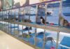 ‘Külahı tersten giydirmek’:Petshoplar, vitrine koyup canlı hayvan satamaz, katalogdan ve internetten satabilir!