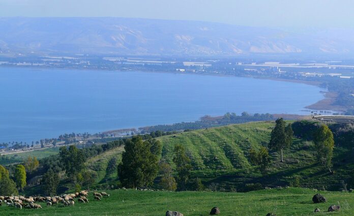 1280px-Kinneret_cropped
