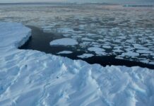 İşte, İsmiyle cismiyle İklim değişikliği: Antarktika’da buzullar 44 yılın en düşük düzeyine erişti.