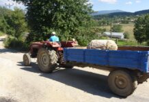 Kaybolan tarihi 2 sütun Kahve Dünyası’nın sahiplerinin evinden çıkmıştı; Köylüler üçüncüyü arıyor