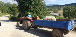 Kaybolan tarihi 2 sütun Kahve Dünyası’nın sahiplerinin evinden çıkmıştı; Köylüler üçüncüyü arıyor