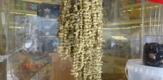 Tazesinin kilosu 40, kurusu ortalama 900 TL!