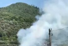 Kocaeli’de orman yangını;Yangının çıkmasına sebep olan şüpheli gözaltına alındı