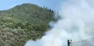 Kocaeli’de orman yangını;Yangının çıkmasına sebep olan şüpheli gözaltına alındı