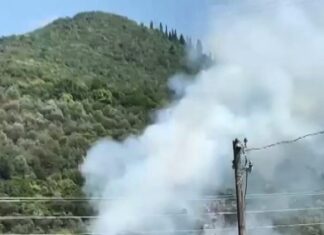 Kocaeli’de orman yangını;Yangının çıkmasına sebep olan şüpheli gözaltına alındı