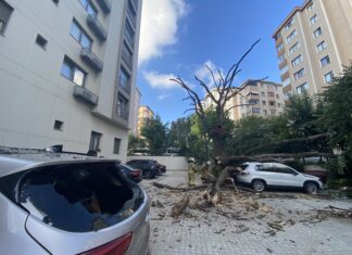 Kadıköy’de 150 yıllık meşe ağacı park halindeki 6 aracın üstüne devrildi