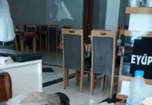 ‘Beleşçi’ Karga; restoranda karnını doyurdu