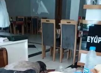 ‘Beleşçi’ Karga; restoranda karnını doyurdu