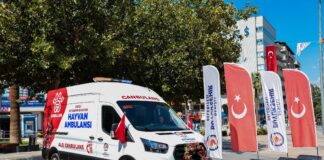 Bir ilk: Can dostların imdadına ‘Canbulans’ yetişecek; Denizli’de hayvan ambulansı