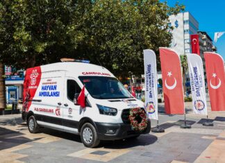 Bir ilk: Can dostların imdadına ‘Canbulans’ yetişecek; Denizli’de hayvan ambulansı