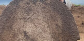 ‘Türk’ adının ilk kez geçtiği Göktürk döneminin en eski yazılı anıtında ön okuma yapıldı; ‘Tanrı oğlu, işimi gücümü ver, köz’