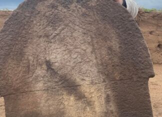 ‘Türk’ adının ilk kez geçtiği Göktürk döneminin en eski yazılı anıtında ön okuma yapıldı; ‘Tanrı oğlu, işimi gücümü ver, köz’