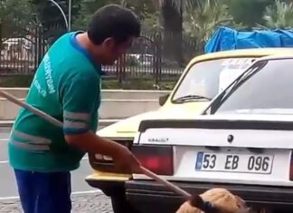 Köpeğe ‘kaşağı’…Temizlik personeli süpürgeyle sokak köpeğinin sırtını kaşıdı!