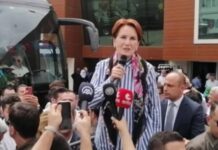 Meral Akşener’i sokak köpeği ısırdı!