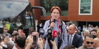 Meral Akşener’i sokak köpeği ısırdı!
