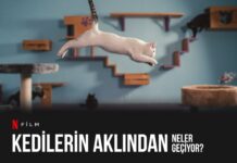 Netflix Belgesel:Kedilerin Aklından Neler Geçiyor? Canberk TURAN