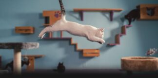 Netflix Belgesel:Kedilerin Aklından Neler Geçiyor? Canberk TURAN