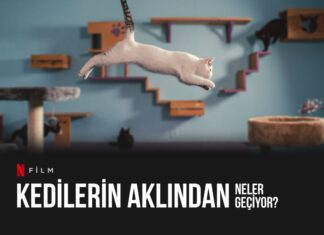 Netflix Belgesel:Kedilerin Aklından Neler Geçiyor? Canberk TURAN