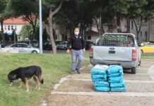 Bir Hamleyle İki İyilik; Çevreye Katkı, Sokak Hayvanlarına Mama!