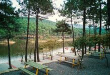 Aydos Ormanı’nda yürüyüş parkurunu kullananlardan 10 TL alınmaya başlandı