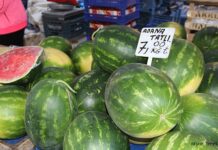 Tarlada 80 kuruşa kadar düştü, tezgahta 5-6 lira