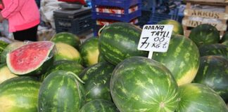 Tarlada 80 kuruşa kadar düştü, tezgahta 5-6 lira