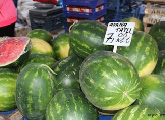 Tarlada 80 kuruşa kadar düştü, tezgahta 5-6 lira