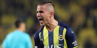 Fenerbahçe, Pelkas’ı Hull City’ye kiraladı