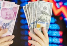 TL’nin toplam mevduat içindeki payının en yüksek olduğu il Bitlis; döviz mevduatındaysa Aksaray