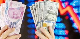 TL’nin toplam mevduat içindeki payının en yüksek olduğu il Bitlis; döviz mevduatındaysa Aksaray